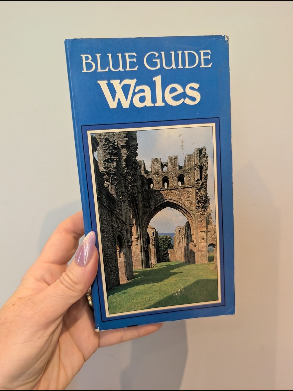Original Penguin Blue Guide Wales Paperback Travel Guide - Blue Cover